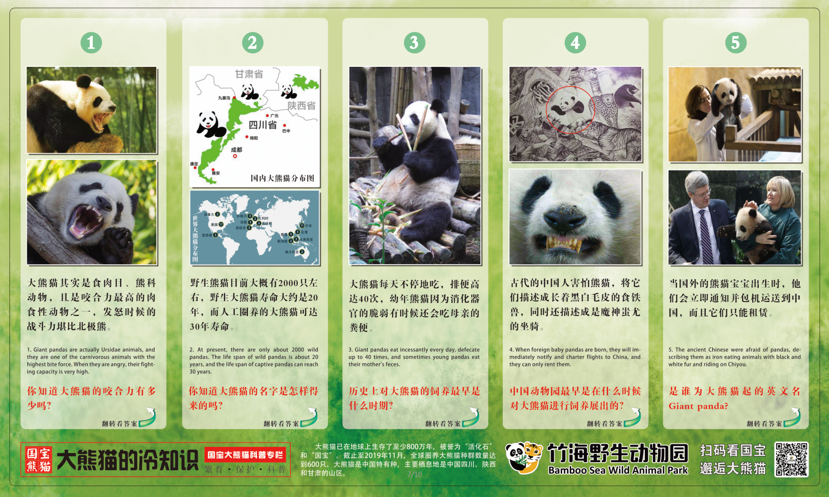 大熊猫的冷知识.png