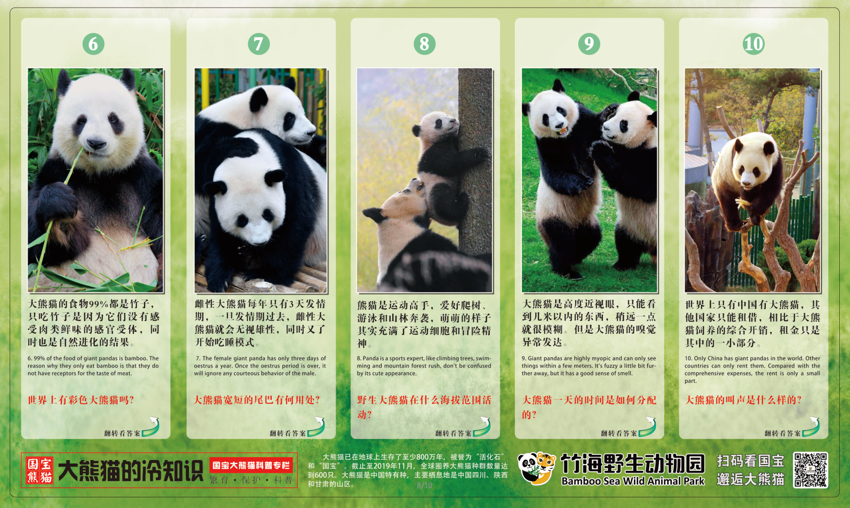 熊猫资料大百科图片